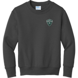 Biggby Spartans Youth Core Fleece Crewneck Sweatshirt